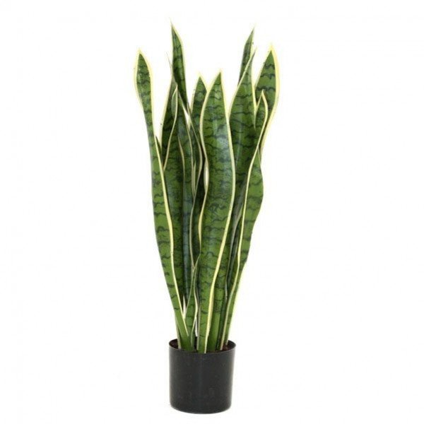 Deze bijzonder goed nagemaakte Sanseveria kunstplant is een mooie decoratie voor de vensterbank of op een leuk dressoir. Bovendien zijn de Sanseveria's weer helemaal in! De hoogte van de Sanseveria kunstplant is ongeveer 70cm