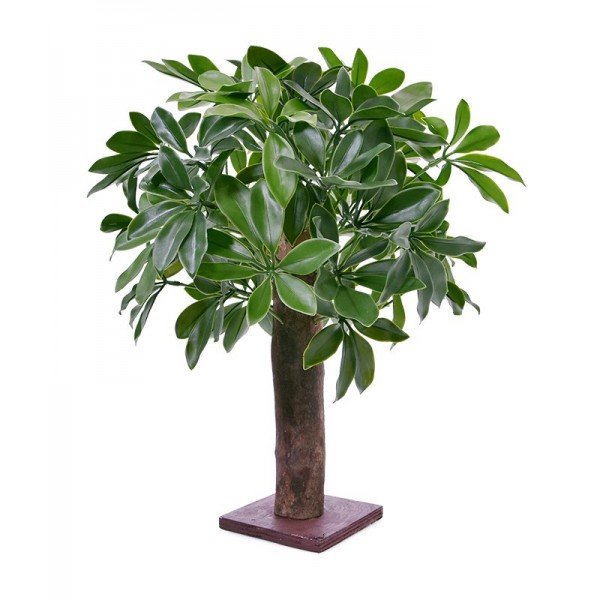 Deze UV bestendige kunst Schefflera is met zijn hoogte van circa 50 cm een veelzijdige plant. Zet de plant in een lage plantenbak of schaal