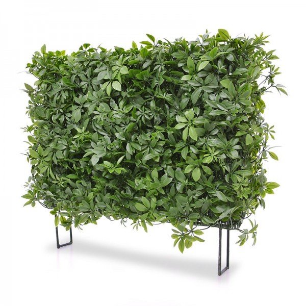 Deze Uv bestendige kunst Schefflera 80x25x56 cm is gemaakt van kwalitatief hoogwaardig pvc. In de kunststof blaadjes van deze kunst Schefflera is een speciale UV-protector verwerkt