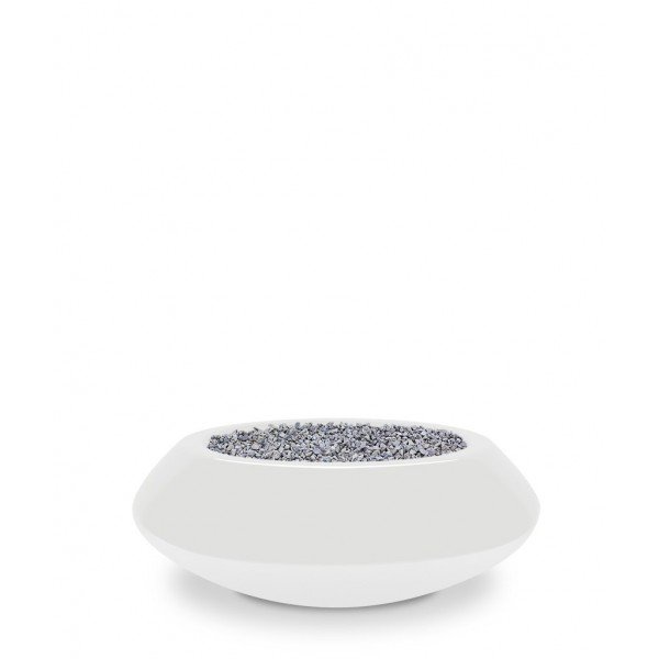 South Australia shiny white Ø40 x H15