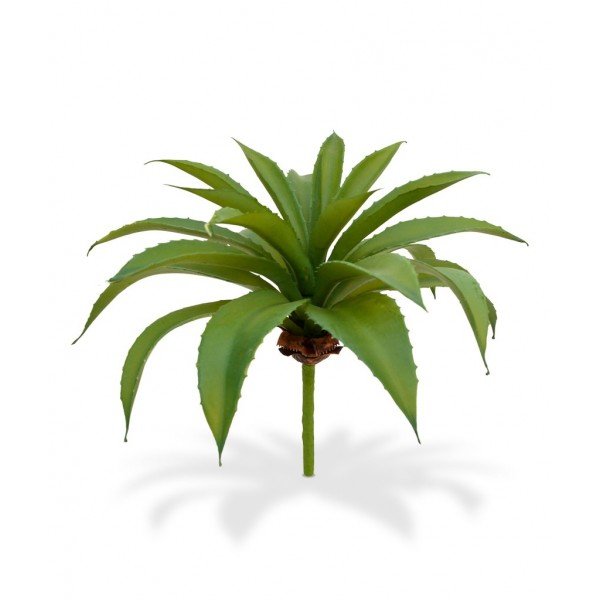 de hoogte is ook ongeveer 30 cm