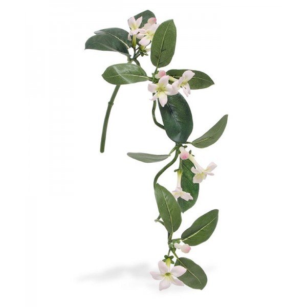 Nieuw - Stephanotis kunsttak 63 cm wit-roze