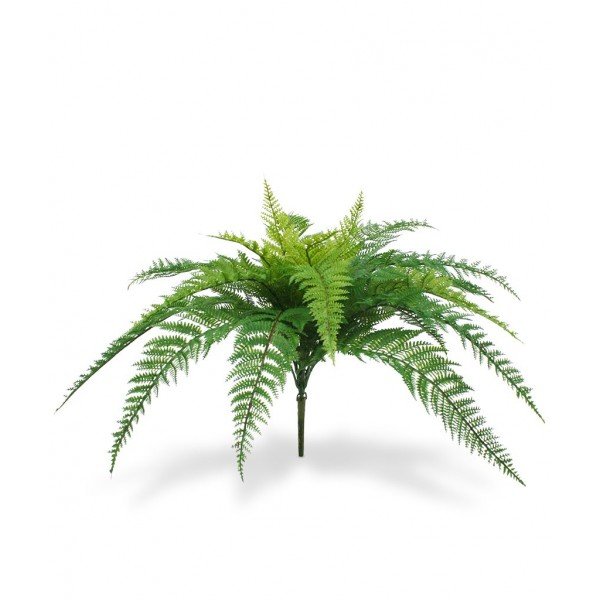 op kantoor of in de badkamer! Kenmerkend aan deze kunstvaren zijn de lange