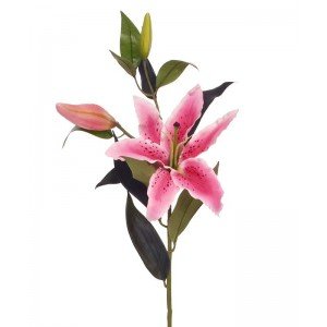 Nieuw - Casablanca kunst Lelietak XL 90 cm roze
