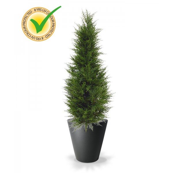 uit kwalitatief hoog pvc vervaardigde Conifeer