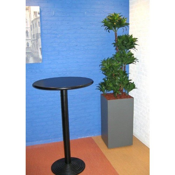 Deze schitterende kopie van de Draceana Fragrans lijkt wel heel erg veel op het echte exemplaar. Extra aandacht is gegeven aan de stammen