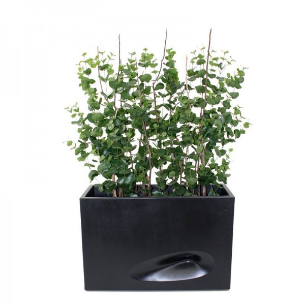 waardoor deze semi-kunstheg een mooie decoratie is. Door zijn vormgeving is de heg ook perfect in te zetten als natuurlijke scheiding van twee ruimtes op kantoor