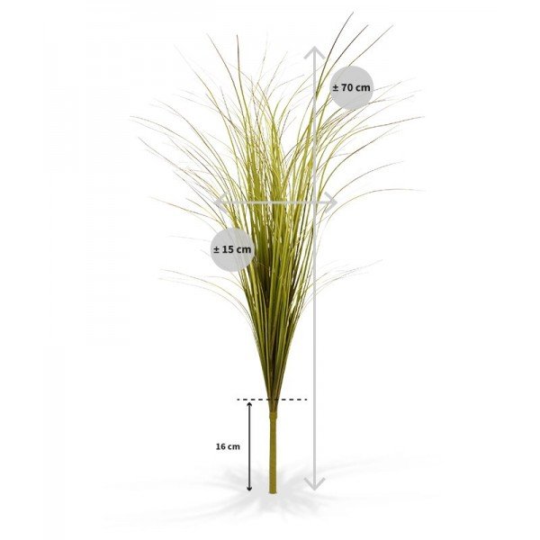 maar ook schalen en room dividers kunnen decoratief worden opgemaakt. Gebruik ongeveer 25 boeketten voor een pot met een diameter van 35 cm om een mooi dicht plantenarrangement te maken. Voor de room dividers: maak een of meerdere rijen