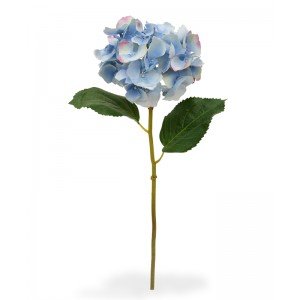 Deze schitterende kunst Hortensia steelbloem is net echt! De stengelbloem is opgebouwd uit een enkele steel met daarop een grote kunstzijden Hortensia bloem. Door zijn vele vertakkingen meet de kunstbloem 12 cm breed en telt deze wel 41 bloemetjes! De kunst Hortensia wordt standaard als losse steel geleverd en kan daardoor makkelijk verwerkt worden tot prachtige kunstboeketten. De kunststeel heeft een lengte van ongeveer 45 cm en is verkrijgbaar in het creme