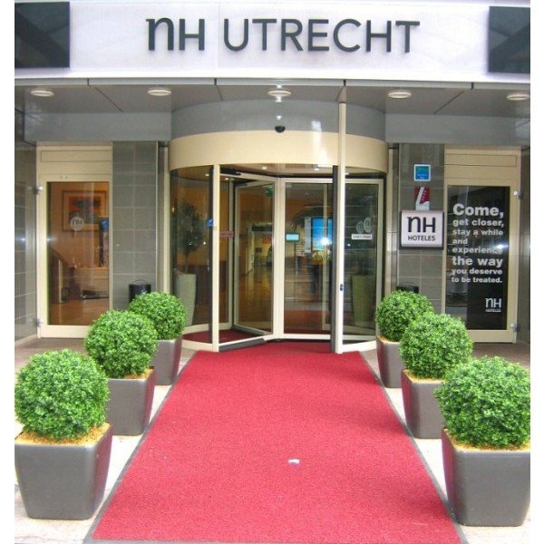 waardoor deze kunstboom zowel binnen en buiten een mooie decoratie is. De vernieuwde versie is met name door zijn kleur en nieuwe blaadjes bijna niet meer van de echte Buxus te onderscheiden! De natuurgetrouw nagemaakte Buxus boom is totaal 80 cm hoog. De diameter is 60 cm. Standaard wordt de Buxus geleverd in een plastic binnen pot. Let op! De stam is van echt hout en dus vatbaar voor weersinvloeden en zwammen. Voor een langere levensduur raden wij aan om de stam te behandelen met een primer of beits.