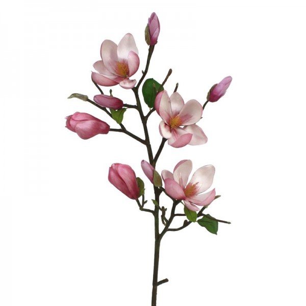 Een bijzonder hoog decoratief gehalte heeft deze kunst Magnolia Tak 80 cm roze. De kunsttak is zeer goed nagemaakt met verschillende zijtakken