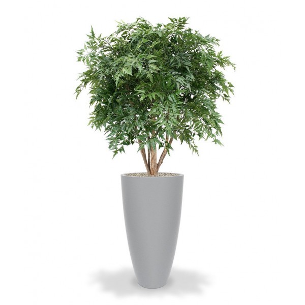 met een volle uitstraling als resultaat. Een bijzonder decoratieve en imposante kunstplant die zich zowel in slanke hoge als ronde lage potten laat plaatsen. De Ming Aralia Deluxe is ongeveer 120 cm hoog en wel 100 cm breed! Standaard wordt de kunstplant in een plastic pot geleverd