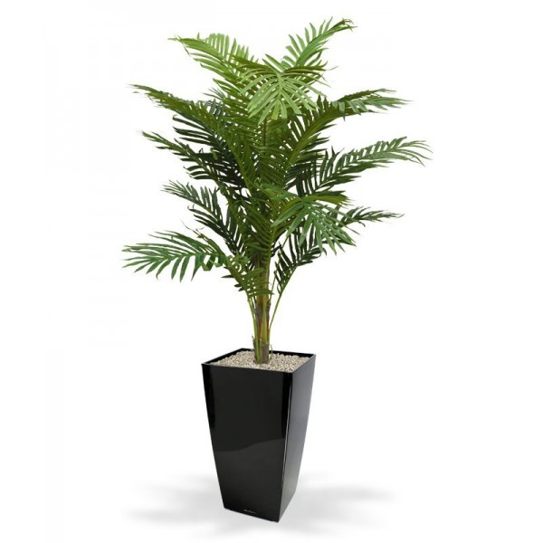 uit het midden segment