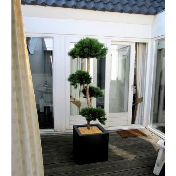 gelaagde Pinus boom. Omdat de UV-protector in de grondstof is verwerkt kunnen wij de garantie geven dat deze naaldboom gedurende 8 jaar lang niet verkleurt! Deze bijzondere Pinus kunstboom is een lust voor het oog. De Pinus