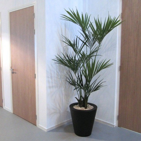 De Conico is een luxe kunststof plantenbak