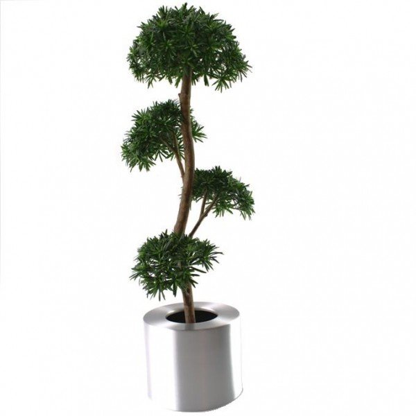 De meest exclusieve RVS plantenbak