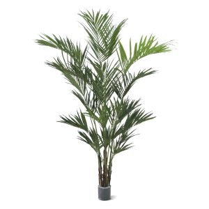 De Kentia Palm is wellicht de meest bekende palm en dat is natuurlijk niet voor niets. Met deze gigantische Kentia kunstpalm haalt u in één klap de tropen in huis! De extra volle Kentia kunstpalm XL is ons nieuwste model uit de Kentia serie. De hoogte van de Kunstpalm is ruim 260 cm