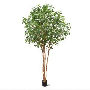 Op zoek naar een blikvanger van formaat? Dan is de Beukenboom Deluxe precies wat u zoekt. Deze aparte kunstboom is ongeveer 350 cm hoog en heeft een flinke bladkroon met een doorsnede van wel 200 cm. De Beuk staat bijvoorbeeld mooi in een showroom