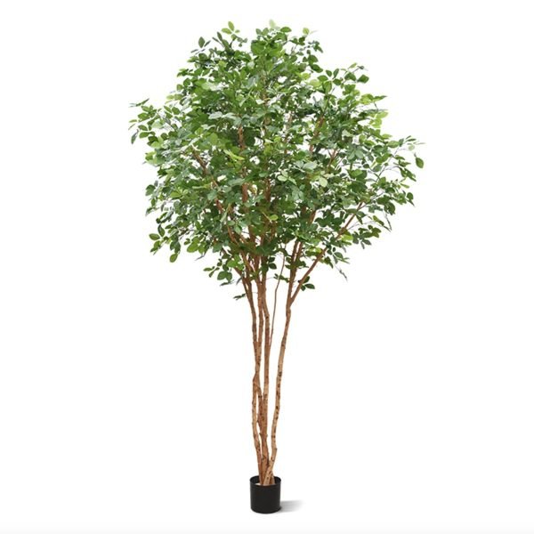 Op zoek naar een blikvanger van formaat? Dan is de Beukenboom Deluxe precies wat u zoekt. Deze aparte kunstboom is ongeveer 350 cm hoog en heeft een flinke bladkroon met een doorsnede van wel 200 cm. De Beuk staat bijvoorbeeld mooi in een showroom