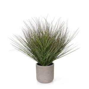 Met zoveel speelse sprietjes wijd en rondom heeft onze Grasplant Wide 60cm in pot een wel heel vol en goed gevuld uiterlijk. Ideaal om uw arrangement een bijzondere touch te geven. Maar let wel op….deze lekkere dikkerd wil wel alle ruimte!Deze kunst Grasplant heeft niet voor niets de naam Wide meegekregen. Met zijn vele en afwisselend rode en groene zijscheuten heeft ons kunstgras een goedgevulde en natuurlijke uitstraling! De Grasplant Wide wordt geleverd inclusief aardewerk sierpot Charlie