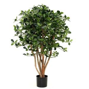 Creëer in een mum van tijd een mediterrane sfeer in huis met deze volle en robuuste Olijfboom van ongeveer 120 cm lengte. De olijfboom heeft blaadjes en olijven die nauwelijks van echt te onderscheiden zijn. Bovendien is de boom opgebouwd op robuuste houten stammen