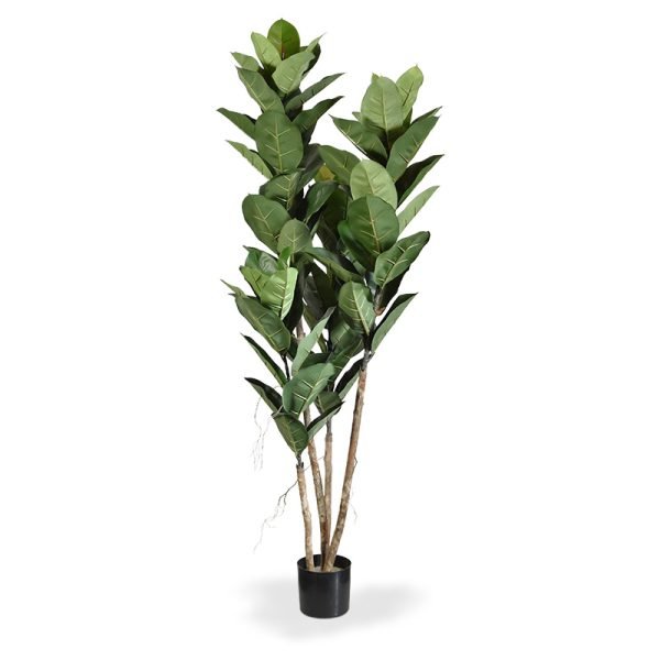 Wie een prachtige kunst Philodendron zoekt tegen een aantrekkelijke prijs mag deze kunstplant in pot van 170 cm hoogte niet missen. Deze van oorsprong tropische plant is een geslacht uit de aronskelkfamilie en dus familie van de Araceae. Het is een mooie decoratieve plant vanwege haar grote groene bladeren met roze paarsachtige uitlopers en vele kronkelende luchtwortels.