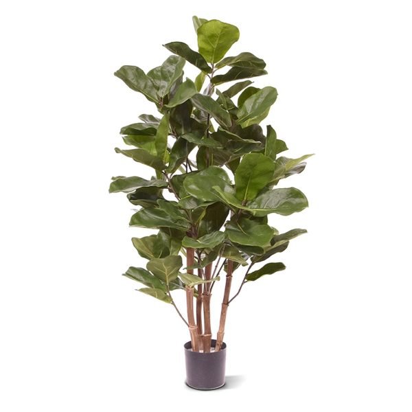 Kunstplant Ficus Lyrata is een groot bladerige plant van 105 cm hoog. Heeft u geen groene vingers