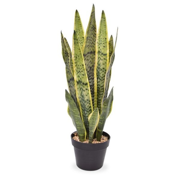 Nieuw - Sanseveria kunstplant 72 cm bont