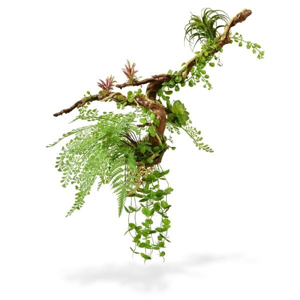 Wie verzot is op vetplanten mag deze kunsthanger vol met bijzondere succulenten zeker niet missen. We zien onder meer twee soorten varens