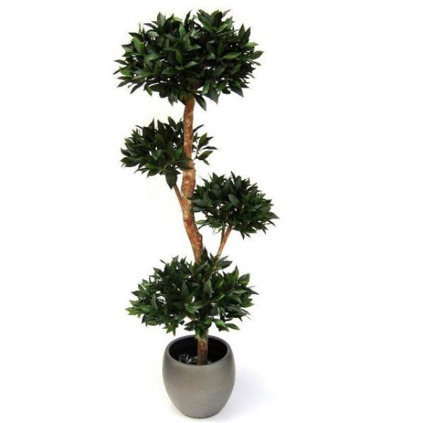 Kunstbomen te meer omdat de boomstam van echt hout is gemaakt. Deze boom is zeer decoratief en wordt vaak gebruikt om de entree te versieren. De hoogte van de boom is 180cm. Standaard wordt deze boom in een plastic pot geleverd. De afgebeelde sierpot is tegen meerprijs leverbaar. De boom is tevens leverbaar in de maat 200cm en wordt met losse koppen verstuurd. Montage is zeer eenvoudig uit te voeren.