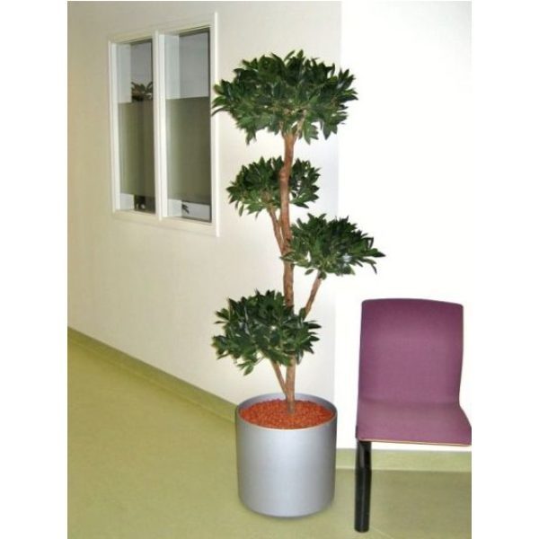 Laurier-Deluxe-x4-180cm-7 Laurier Deluxe x4 180cm 7