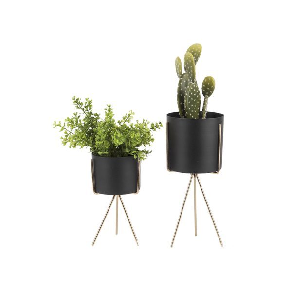 Plantenpot Set Pedestal 29 Groen in huis zorgt voor een fijne sfeer! Het kan dus nooit kwaad om uw huis te voorzien van een stel groene kunstplantjes. Uw planten krijgen een hip voetstuk in de luxe plantenpotten uit de Pedestal serie. Deze moderne plantenpot set bevat twee potten in verschillende groottes. De plantenbakken in deze set zijn gemaakt van ijzer en verkrijgbaar in vier trendy kleuren.