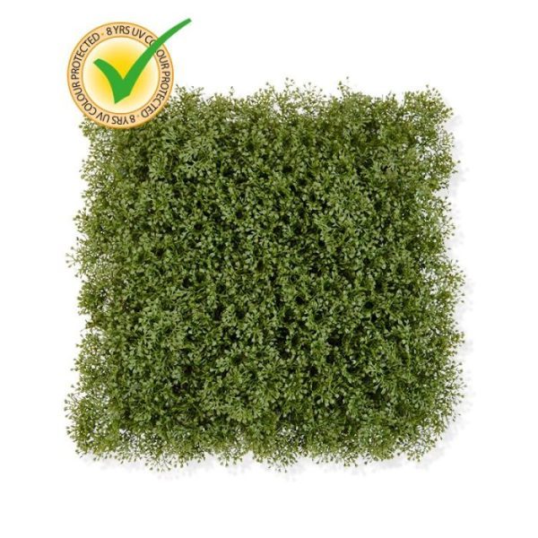 3D-Honey-Kunstmos-mat-25-cm-UV-bestendig-3 meet 25 x 25 cm. U heeft dus 16 matten nodig voor 1 vierkante meter. De matjes zijn makkelijk aan elkaar te klikken. Omdat de Uv-protector in de grondstof van de kunststof delen is verwerkt