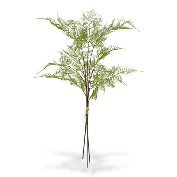 3x-Asparagus-kunsttak-85-cm-bundel-7 3x Asparagus kunsttak 85 cm bundel 7