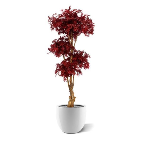 Acer-Bonsai-Deluxe-Kunstboom-170-cm-burgundy-5 maar laat zich perfect presenteren in een hoge sierpot!