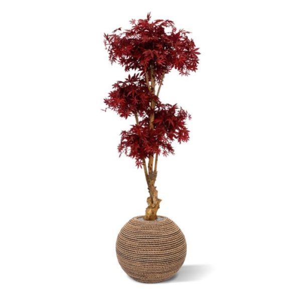 Acer-Bonsai-Deluxe-Kunstboom-170-cm-burgundy-6 Acer Bonsai Deluxe Kunstboom 170 cm burgundy 6