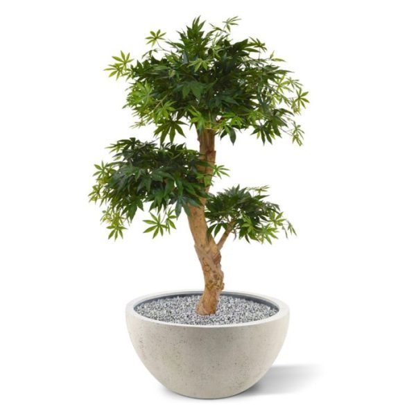 Met deze schitterende Acer Kunstbonsai op stam haalt u Oosterse sferen in huis! De Acer Bonsai