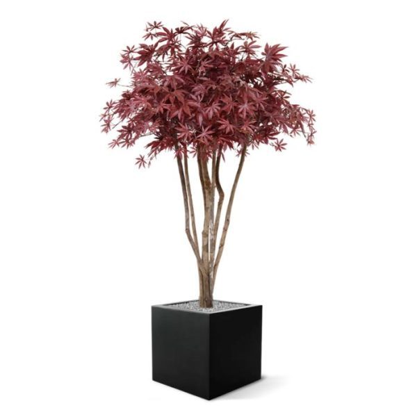 ziet er zo verbluffend echt uit