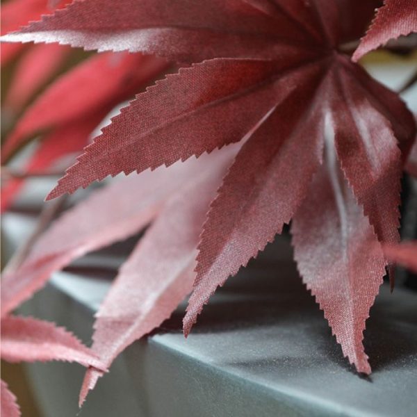 Acer-kunst-Bonsaiboom-60-cm-burgundy-3 dat het lijkt alsof hij zo uit een Japanse tuin komt. De kunstboom is gemaakt op een robuuste stam van echt hout waarop de takken gemonteerd zijn en is bijzonder goed gevuld. Het rode burgundy blad is natuurgetrouw nagemaakt van de echte Acer. Deze semi kunstboom is ongeveer 60 cm hoog