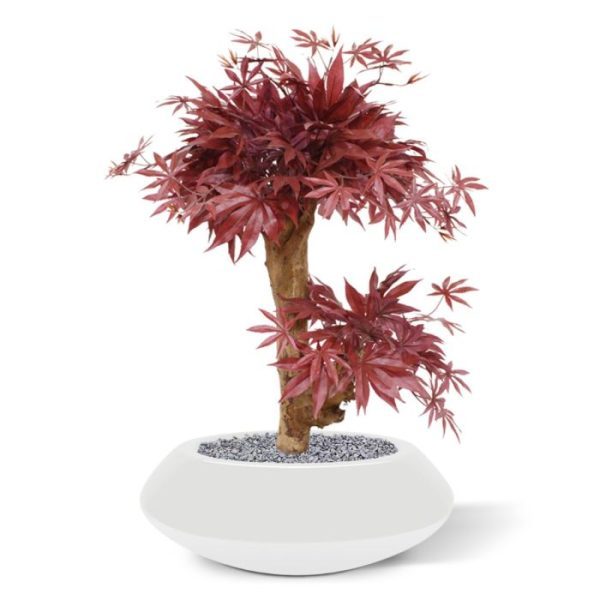 Acer kunst Bonsaiboom 60 cm burgundy Met deze schitterende rode Acer Bonsai kunstboom haalt u Oosterse sferen in huis! De Acer Bonsai