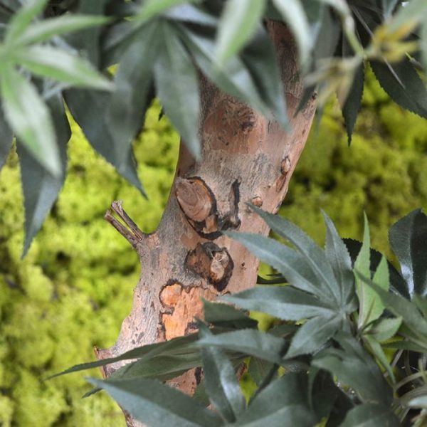 heeft een diameter van ongeveer 40 cm en wordt standaard op een houten voetje geleverd en laat zich perfect presenteren in lage sierpotten.