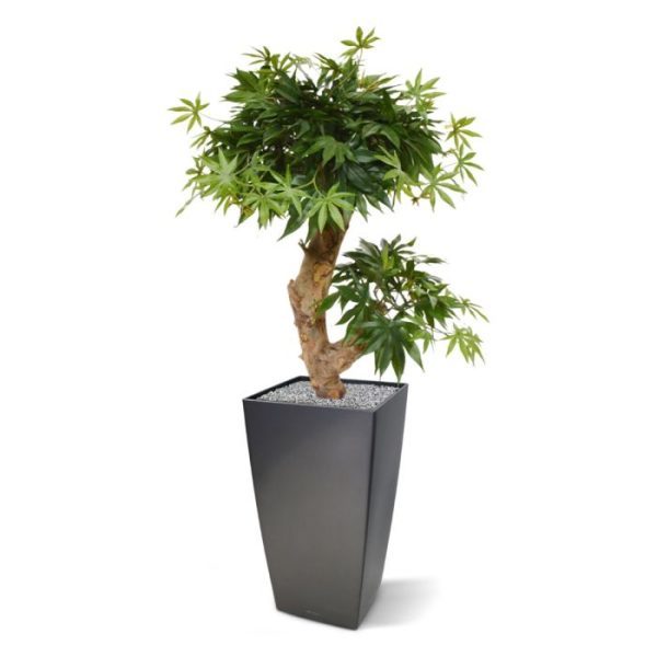 Met deze schitterende Acer Kunstbonsai haalt u Oosterse sferen in huis! De Acer Bonsai