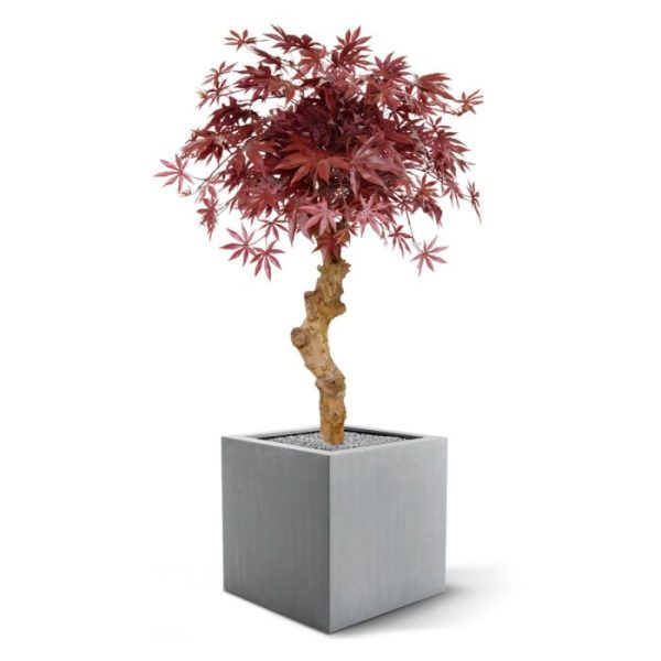 ziet er zo verbluffend echt uit