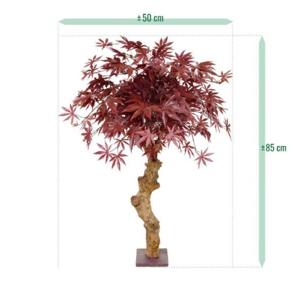dat het lijkt alsof hij zo uit een Japanse tuin komt. De kunstboom is gemaakt op een robuuste stam van echt hout waarop de 3 bladkronen gemonteerd zijn en is bijzonder goed gevuld. Het blad is natuurgetrouw nagemaakt van de echte Acer in een prachtige diep rode kleur. Deze semi kunstboom is ongeveer 85 cm hoog