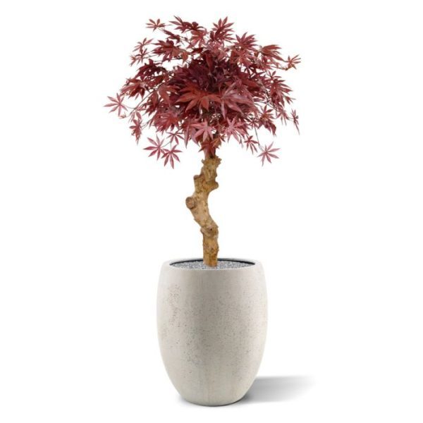 Acer kunstbonsai op stam 85 cm burgundy 8