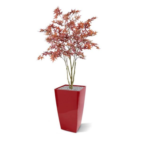 Kunstbomen deze prachtige Acer plant in de trendy kleur burgundy! Met haar karakteristieke en zorgvuldig nagemaakte wijnrode bladeren met gekartelde randen haalt u met deze kunstplant beslist een sfeervolle eyecatcher in huis. Of op kantoor