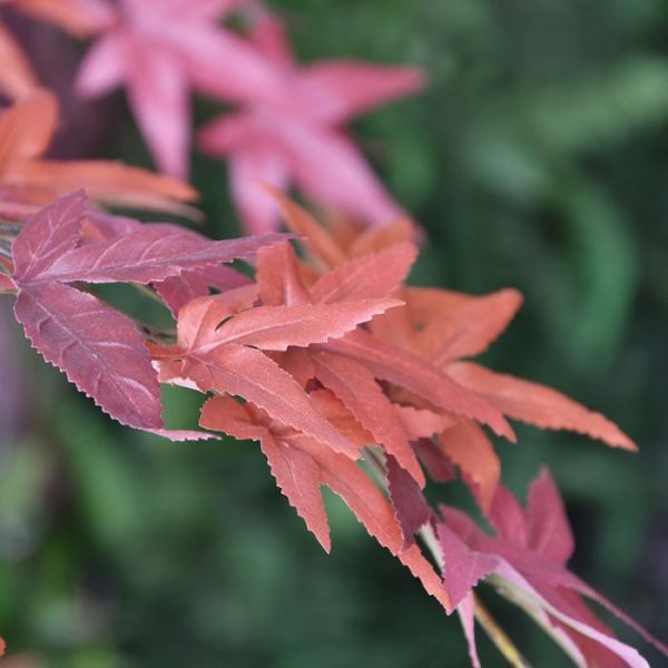 waardoor u deze direct in een sierpot of bak kunt plaatsen. De hieronder getoonde potten zijn eventueel direct mee te bestellen!