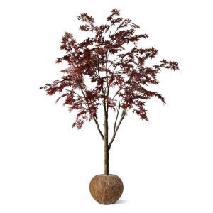 Laat u zich ook verleiden door deze reusachtige Acer plant in de trendy kleur burgundy? Wat een prachtplaatje met die typerende wijnrode bladeren met gekartelde randen die nauwelijks van echt te onderscheiden zijn. Welke ruimte thuis