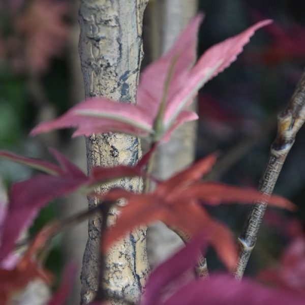 Acer kunstboom 280 cm burgundy 4