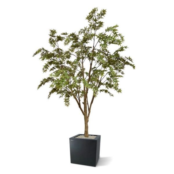 Groene kunstbomen interieur thuis of evenement een trendy sfeer mee te geven! Het bijzondere aan deze Acer kunstplant is dat deze volledig knockdown geleverd wordt. Dat betekent dat u de stevige kunststof stammen eenvoudig en op nummer in elkaar kunt klikken. Onderhoudsarm en ook nog eens modulair op te bouwen is deze Acer bijzonder praktisch in het gebruik en snel in de verwerking. Ideaal voor tijdens beurzen en events. Deze Acer plant is er ook in kleinere hoogtes en in de kleur burgundy. De kunstplant wordt standaard geleverd met plastic pot en vaste vulling